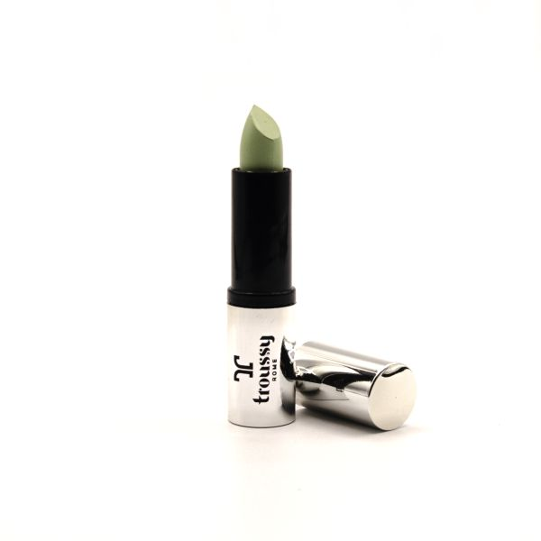 Correcteur Stick Col. 5 Vert - 5Gr